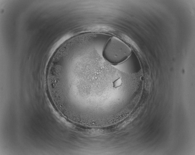 X0000086341087200703301249