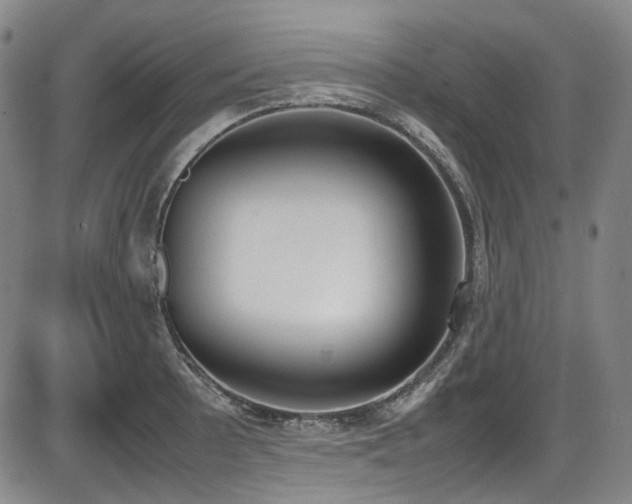 X0000086341089200703301249