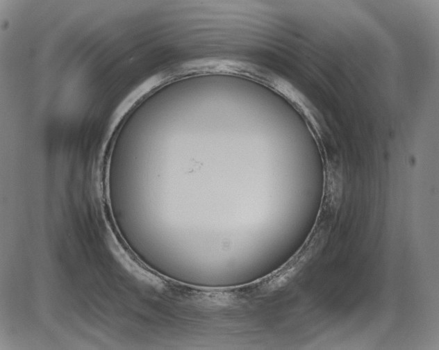 X0000086341090200703301249