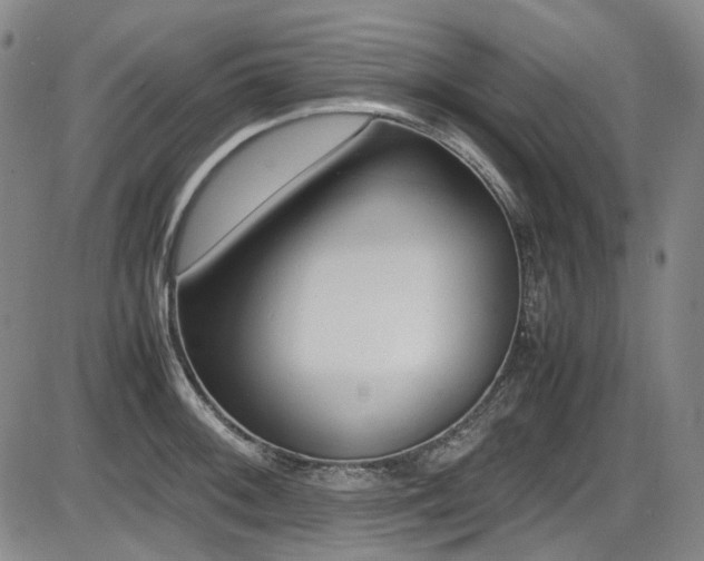 X0000086341092200703301249