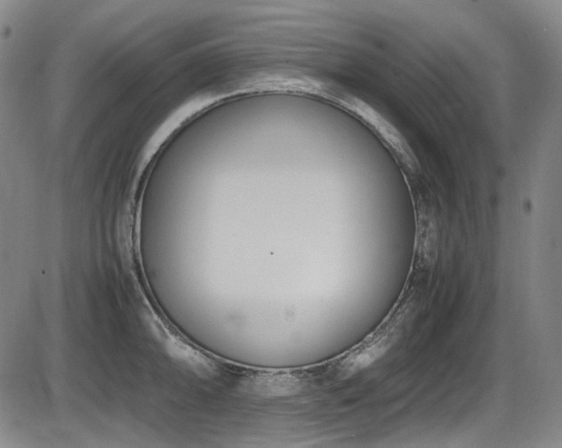 X0000086341094200703301249