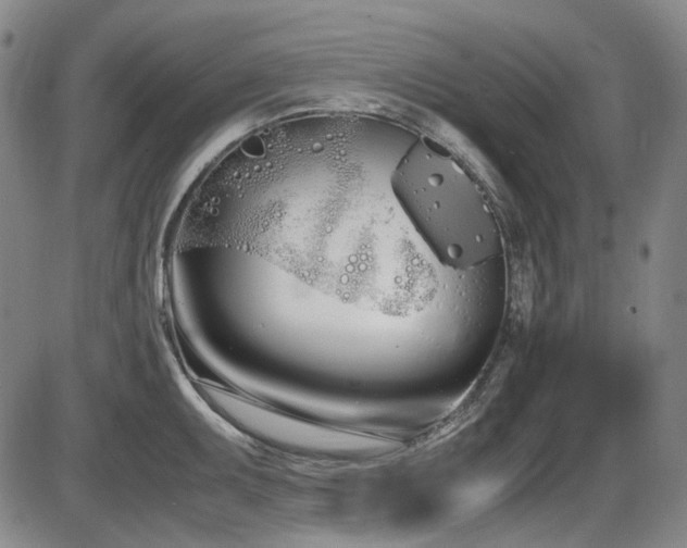 X0000086341095200703301249