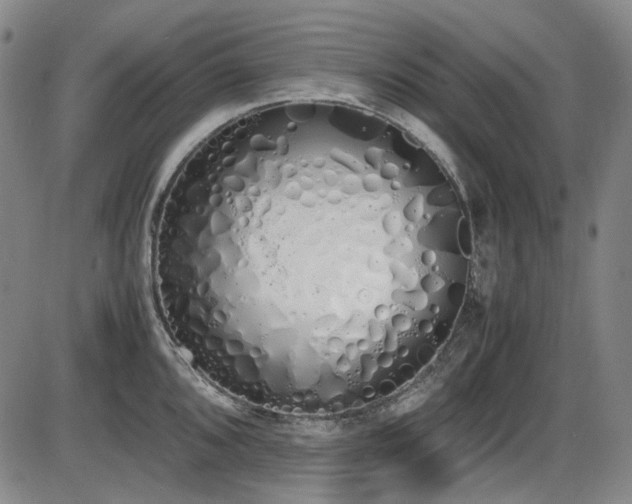 X0000086341096200703301249