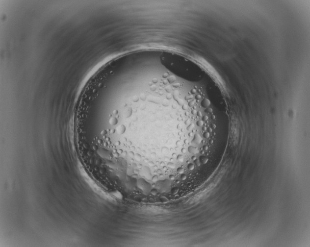 X0000086341100200703301249