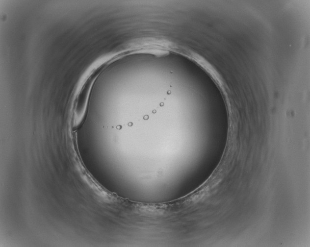 X0000086341104200703301249