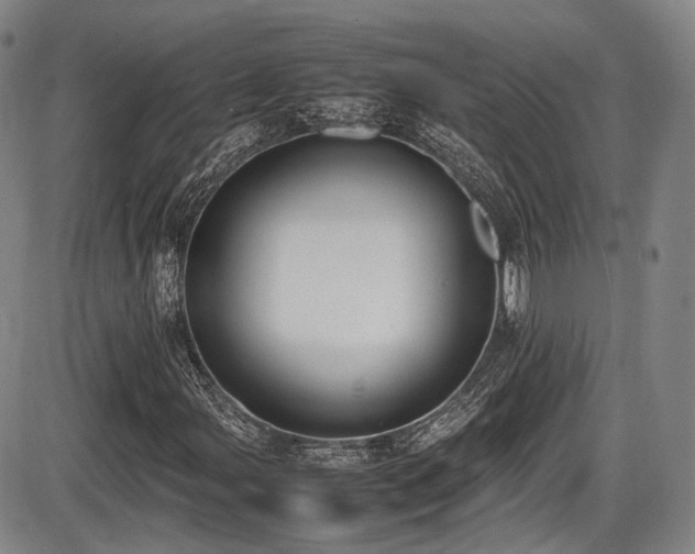 X0000086341107200703301248