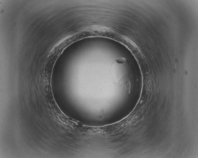 X0000086341112200703301248