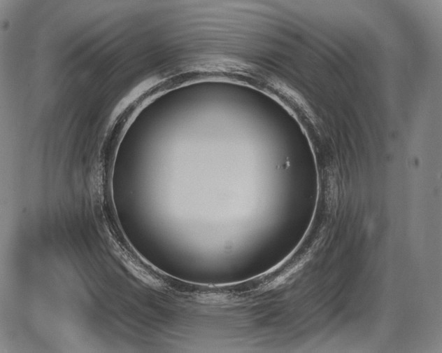 X0000086341114200703301248