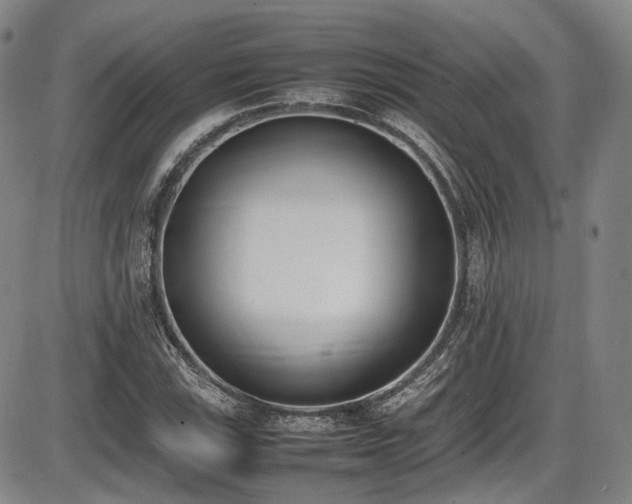 X0000086341115200703301248