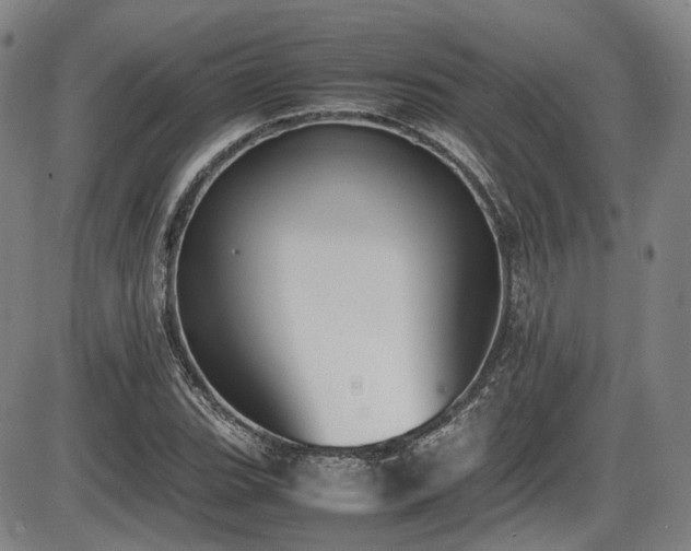 X0000086341119200703301248