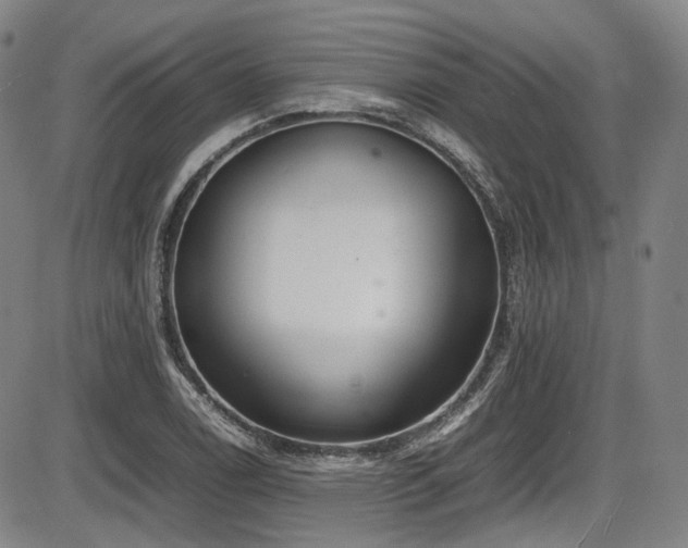 X0000086341122200703301248