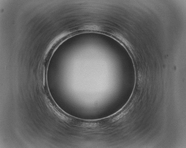 X0000086341123200703301248
