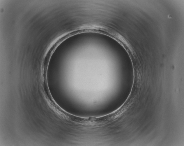 X0000086341124200703301249