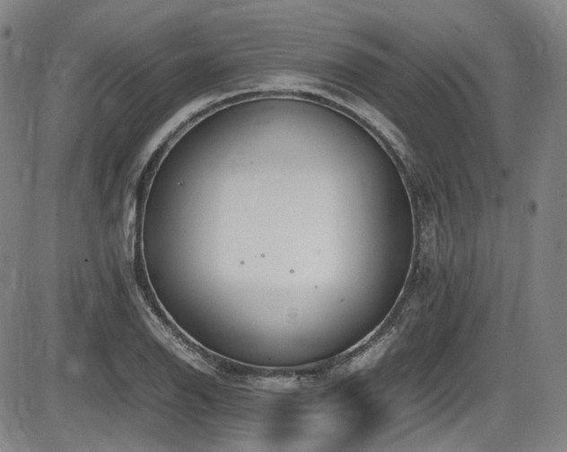 X0000086341126200703301249