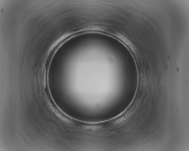 X0000086341127200703301249