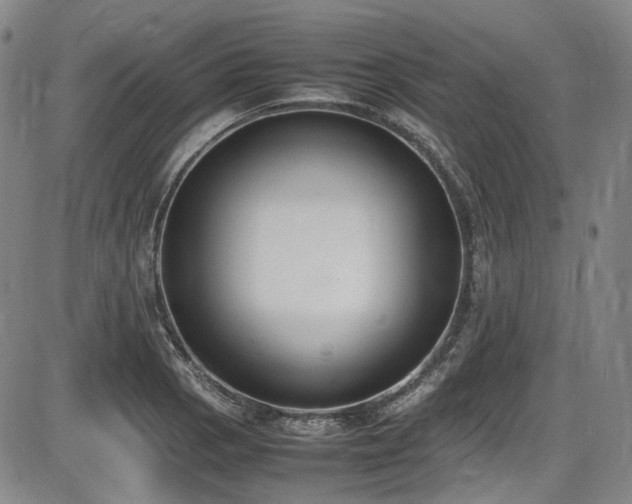 X0000086341129200703301249