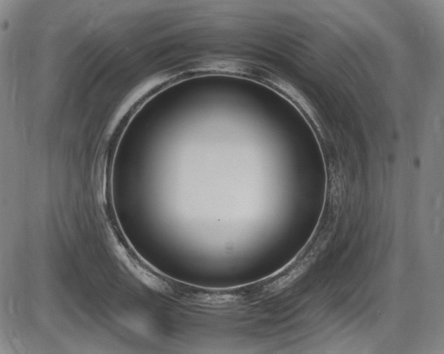 X0000086341131200703301249