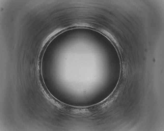 X0000086341133200703301249