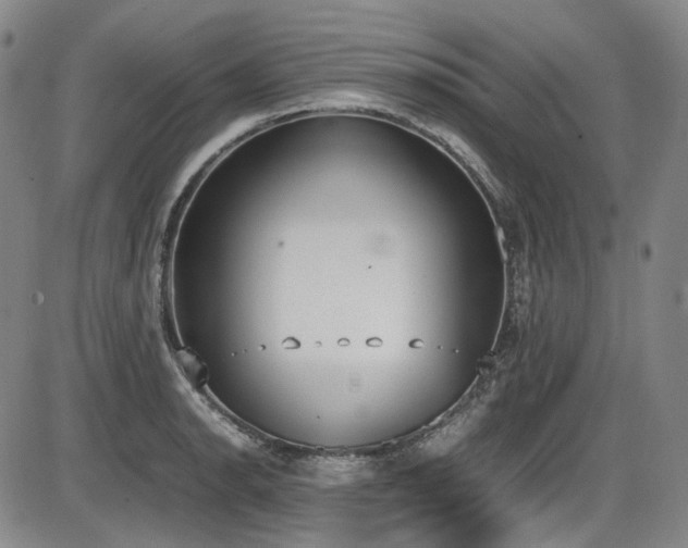 X0000086341134200703301249