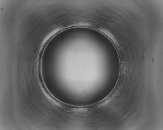 X0000086341135200703301249