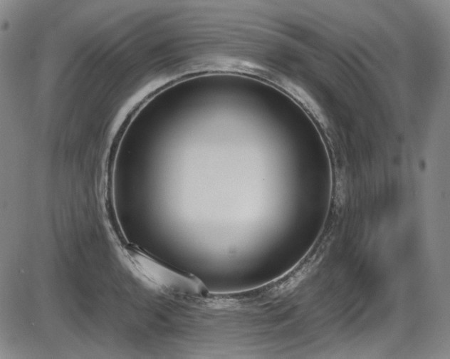X0000086341136200703301249