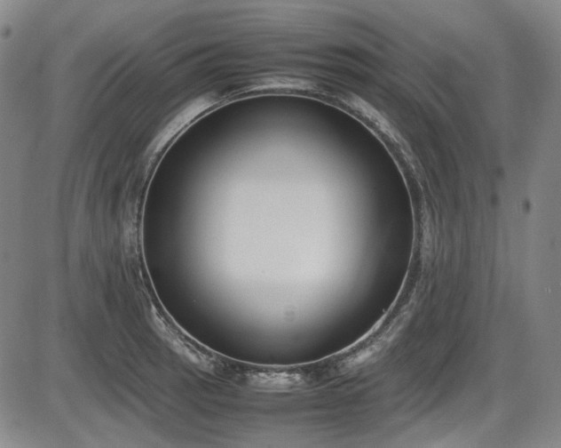 X0000086341137200703301249