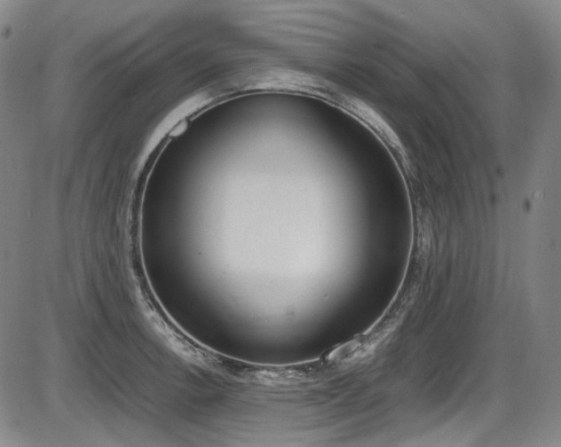 X0000086341138200703301249
