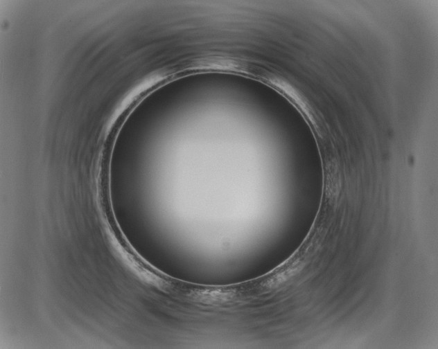X0000086341139200703301249