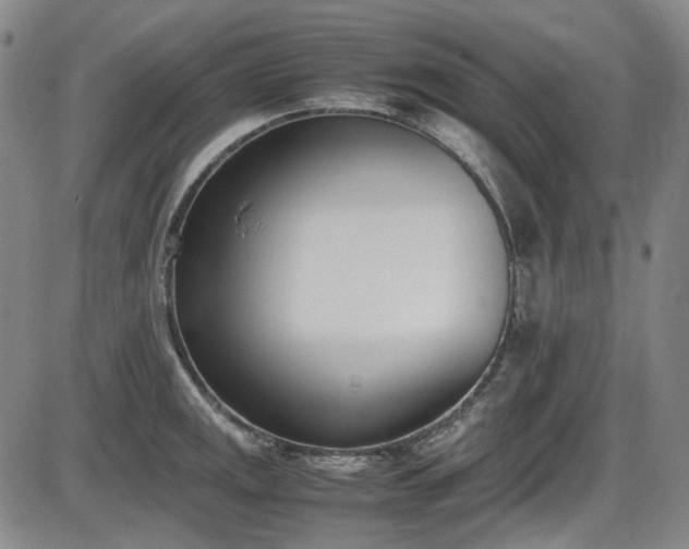 X0000086341141200703301249