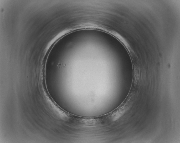 X0000086341142200703301249