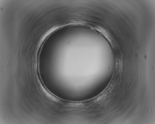 X0000086341143200703301249