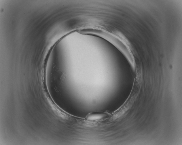 X0000086341144200703301249