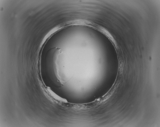 X0000086341146200703301249