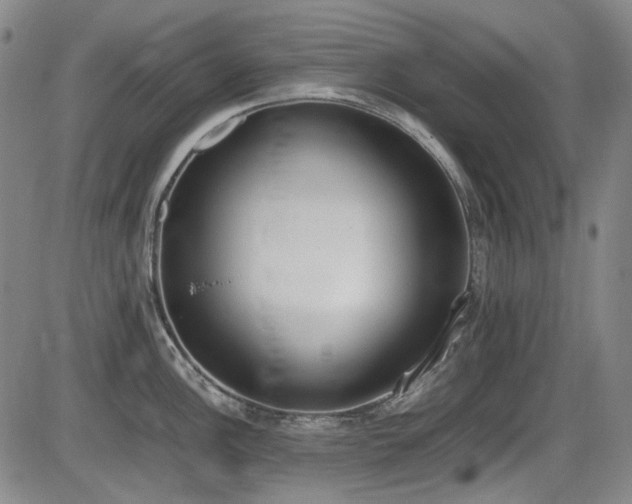 X0000086341148200703301249