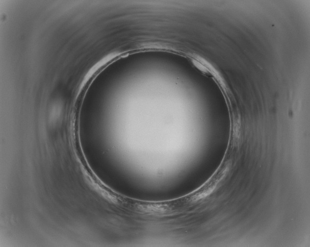 X0000086341149200703301249