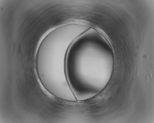 X0000086341152200703301249