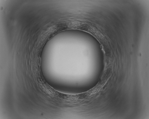 X0000086341153200703301248