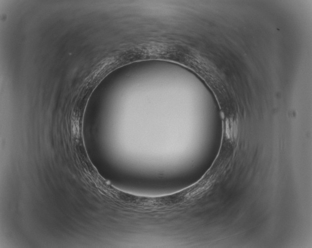X0000086341155200703301248