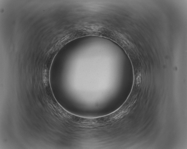 X0000086341156200703301248