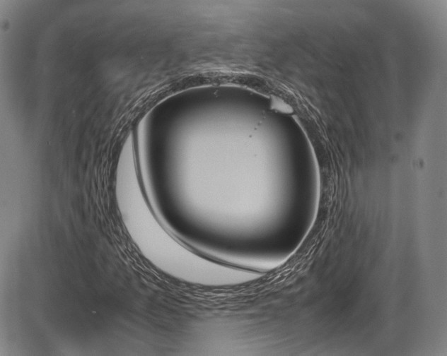 X0000086341157200703301248