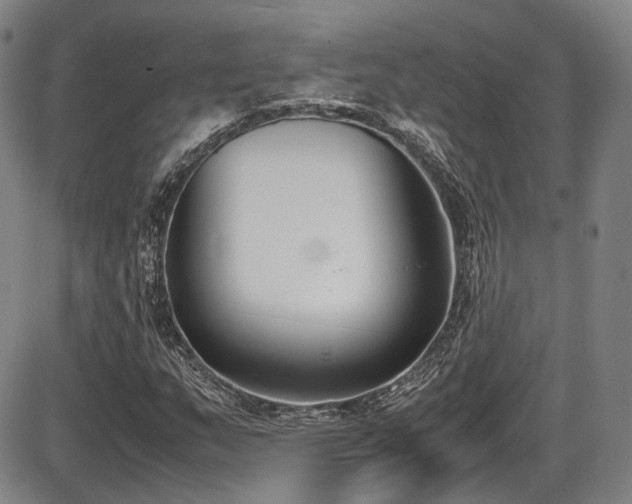 X0000086341159200703301248