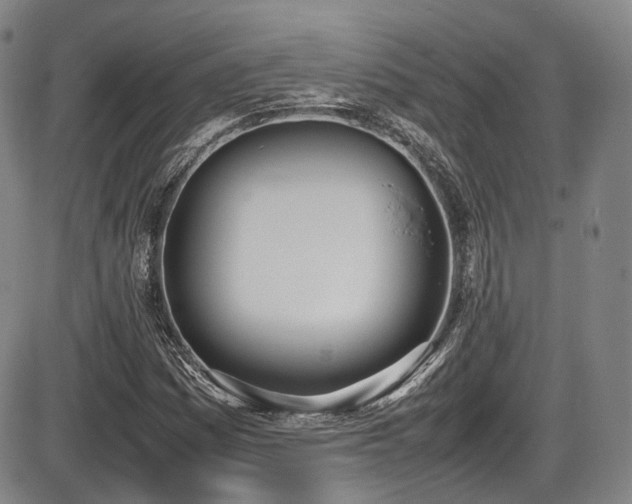 X0000086341161200703301248
