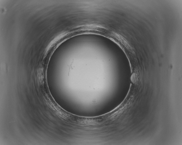 X0000086341164200703301248