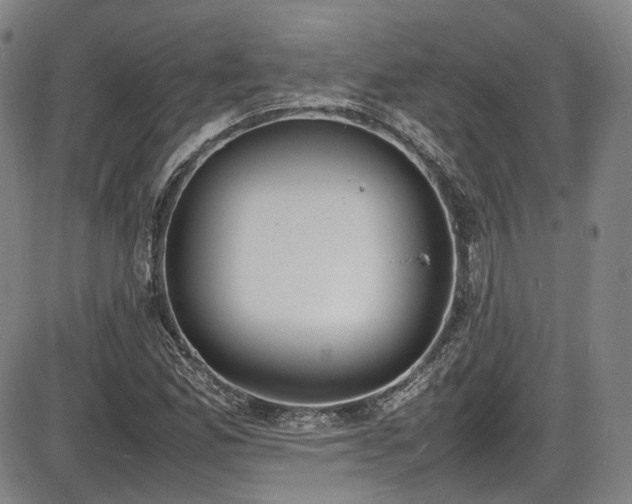 X0000086341165200703301248
