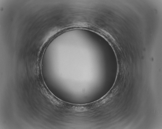 X0000086341168200703301248