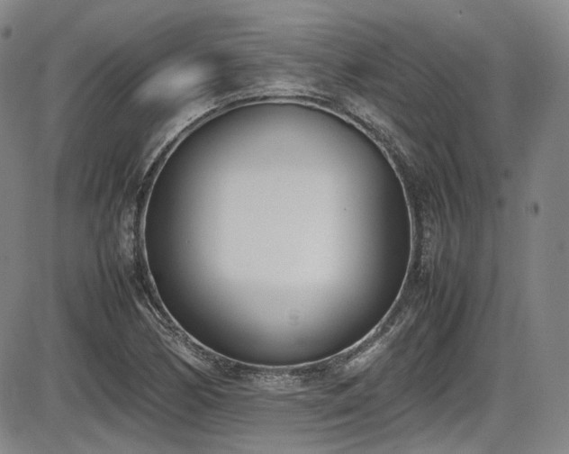 X0000086341170200703301248