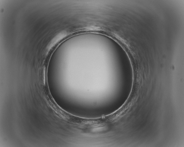 X0000086341171200703301248