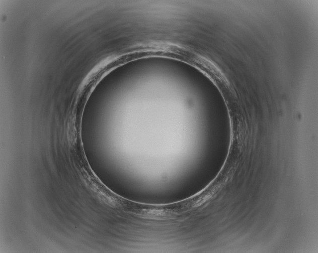 X0000086341172200703301248