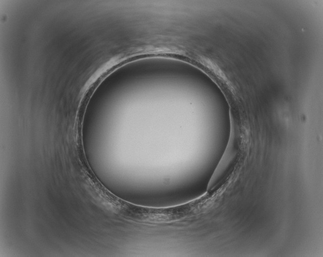 X0000086341173200703301248