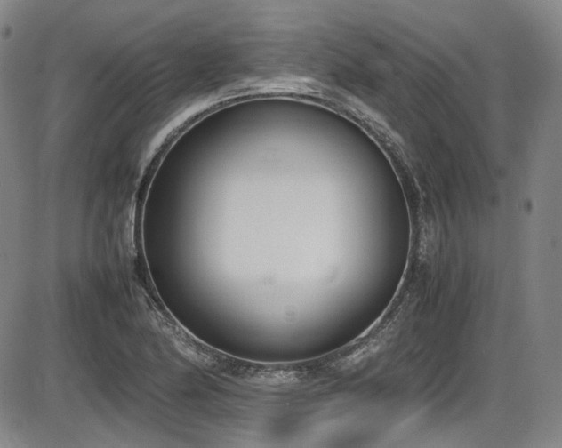 X0000086341174200703301248